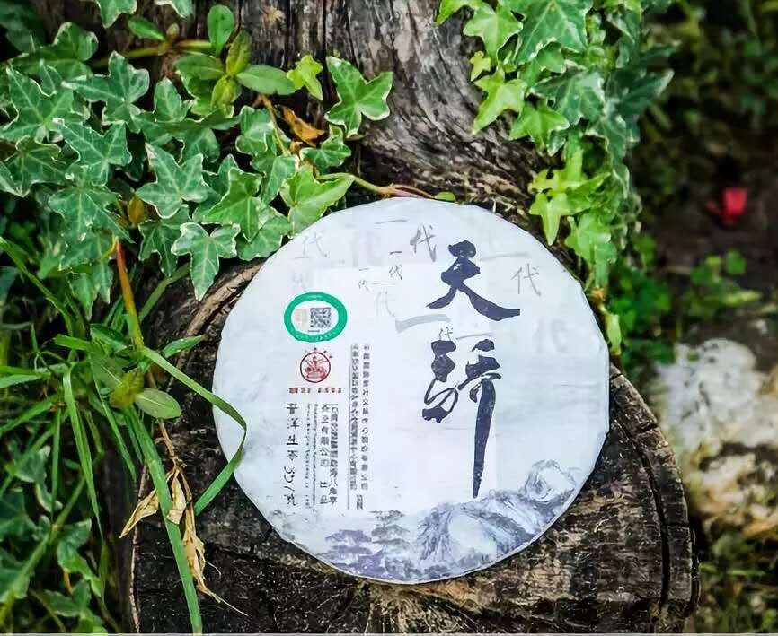 天骄普洱生茶