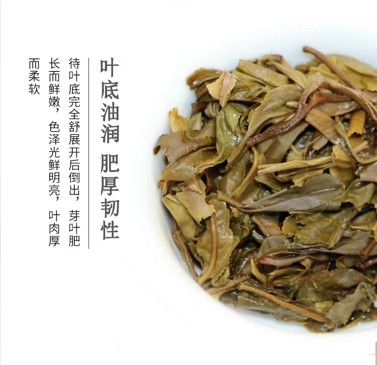 八角亭 70周年纪念茶饼